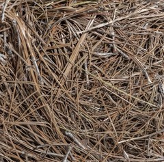 FRESH Garden Elements Quality Long Leaf PINE STRAW Bale Inch Depth Cover Mulch!!