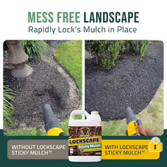 Sticky Mulch Glue for Landscaping (64oz) – Non-Toxic, Ultra-Concentrated Binder