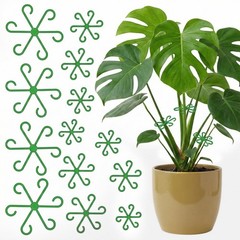 Opasyo 16PCS Plant Stem Support for Indoor Plants, Climbing Houseplant Stem S…