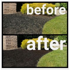 Mulch Wizard DIY Kit: Gallon Sprayer Pump, Colorant, Restores Faded Mulch