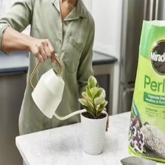 Miracle-Gro 8 qt. Perlite Soil