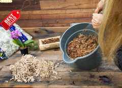 Orchid Sphagnum Moss Dried Natural 1LB Mini Bale Potting Reptile Plants – US