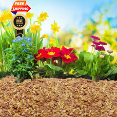 100% Natural Cedar Chips | Mulch | Great for Outdoors 4 Quarts,