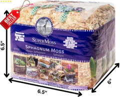 Orchid Sphagnum Moss Dried Natural 1LB Mini Bale Potting Reptile Plants – US