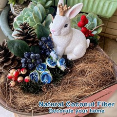 Coconut Husk Fiber Mulch for Orchids – 0.66 lbs Natural Plant Care
