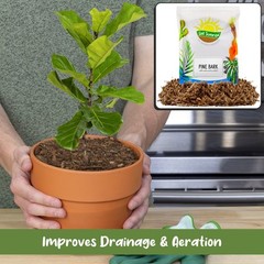100% Natural Pine Bark Mulch Nuggets for Indoor/Outdoor Container Garden