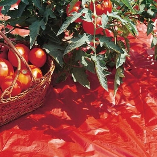 Red Mulch Film 4′ x 25′