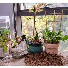 3qt Organic Orchid Potting Bark -Natural Mulch for Potted Plants, 3qt, Small
