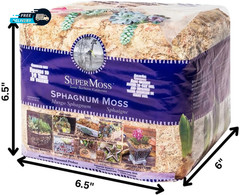 (22325) Orchid Sphagnum Moss Dried Natural 1 Pound Mini Bale