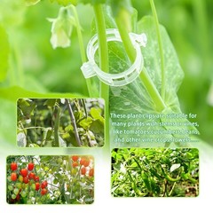 Pynqdfu 400Pcs Plant Support Clips,Plastic Tomato Support Clip,Garden Vine Cl…