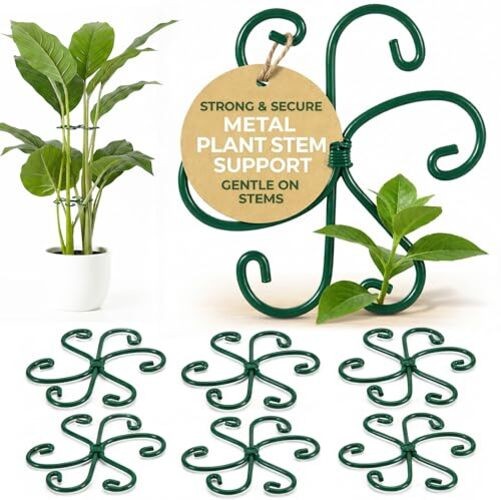 6 Pack Metal Plant Stem Supports for Indoor Plants (Green) – Houseplant
