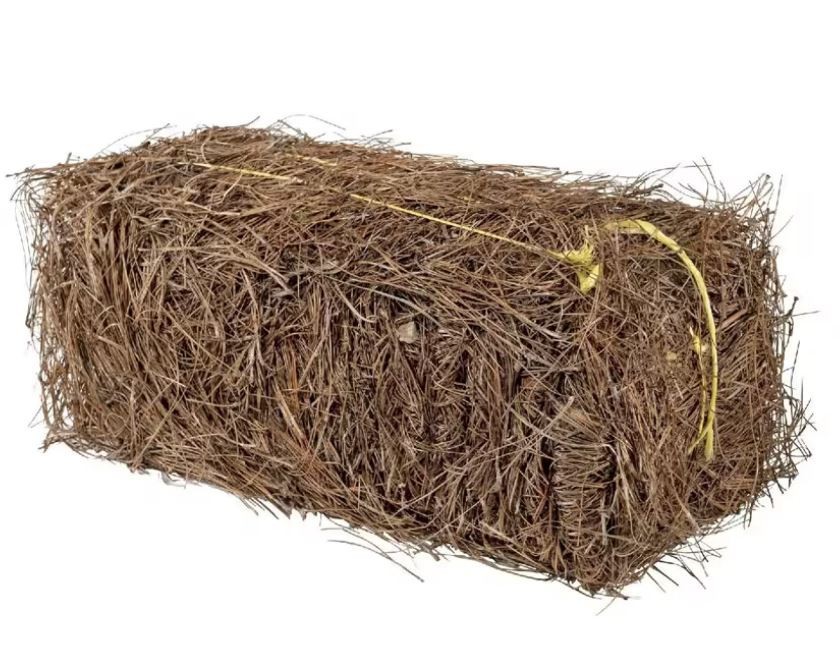 Garden Elements Long Leaf Pine Straw Bale – 1 in Depth, Covers 70 sq ft
