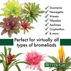 Better-Gro Bromeliad Blend 8 Quart 8 quarts, Brown