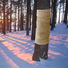4 Rolls Burlap Tree Protector Wraps, 4.7″ x16.4′ Winter-Proof Tree Trunk