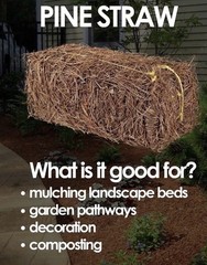 FRESH Garden Elements Quality Long Leaf PINE STRAW Bale Inch Depth Cover Mulch!!