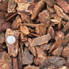 Fresh Natural Large Douglas Fir Bark (34QT) Garden Landscaping Mulch Walkways