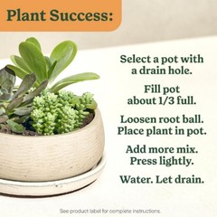 Miracle-Gro Cactus, Palm and Citrus Potting Mix Soil 8 qt. 2-Pack