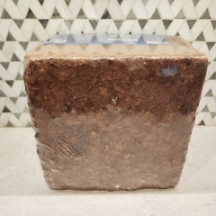 Planters’ Pride PlantBest Mega Mulch Brown Cocoa Shell Decorative Soil Cover 2.5