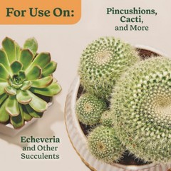 Miracle-Gro Cactus, Palm and Citrus Potting Mix Soil 8 qt. 2-Pack