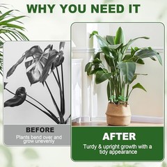16PCS Plant Stem Support, Plant Stem Holder for Indoor Plants, Climbing green