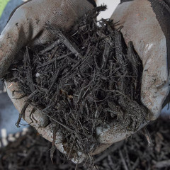 Sta-Green Premium 2-cu ft Black Mulch
