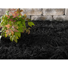 Sta-Green Premium 2-cu ft Black Mulch