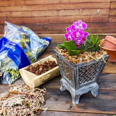 (22330) Orchid Sphagnum Moss Dried – 2.1Lbs Small Bale – Natural