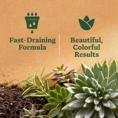 Miracle-Gro Cactus, Palm and Citrus Potting Mix Soil 8 qt. 1-Pack