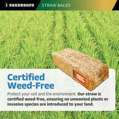 Sandbaggy Rice Straw Bales (Certified Weed Free) – 46″ x 15″ x 22″