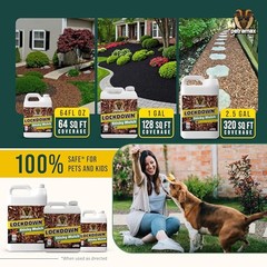 Lockdown Sticky Mulch Glue for Landscaping (64 Ounce) – Lasts Up to 2 Years,