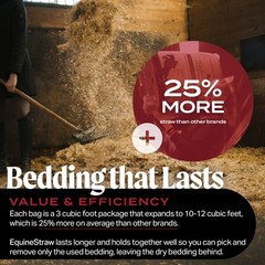 HealthiStraw EquineStraw Premium Straw Bedding, Compressed Bale, 3 cubic feet