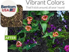 Mulch Dye Midnight Black Quart, Petra Max Mulch Paint Concentrate for Pump Spray