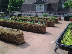 BaleBuster4 Four Bale Conditioning Formula for Preparation of a Straw Bale