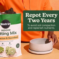 Miracle-Gro Cactus, Palm and Citrus Potting Mix Soil 8 qt. 2-Pack