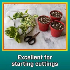 8 qt. Organic Perlite Soil Amendment 2-pack