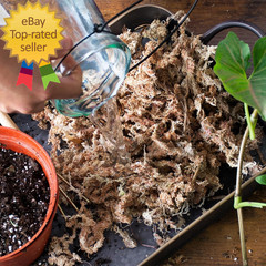 (22325) Orchid Sphagnum Moss Dried Natural 1 Pound Mini Bale