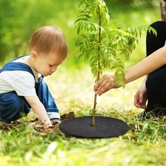 12 Pack 20.5 Inch Non-Woven Tree Mulch Ring Degradable Tree Protector Mat New