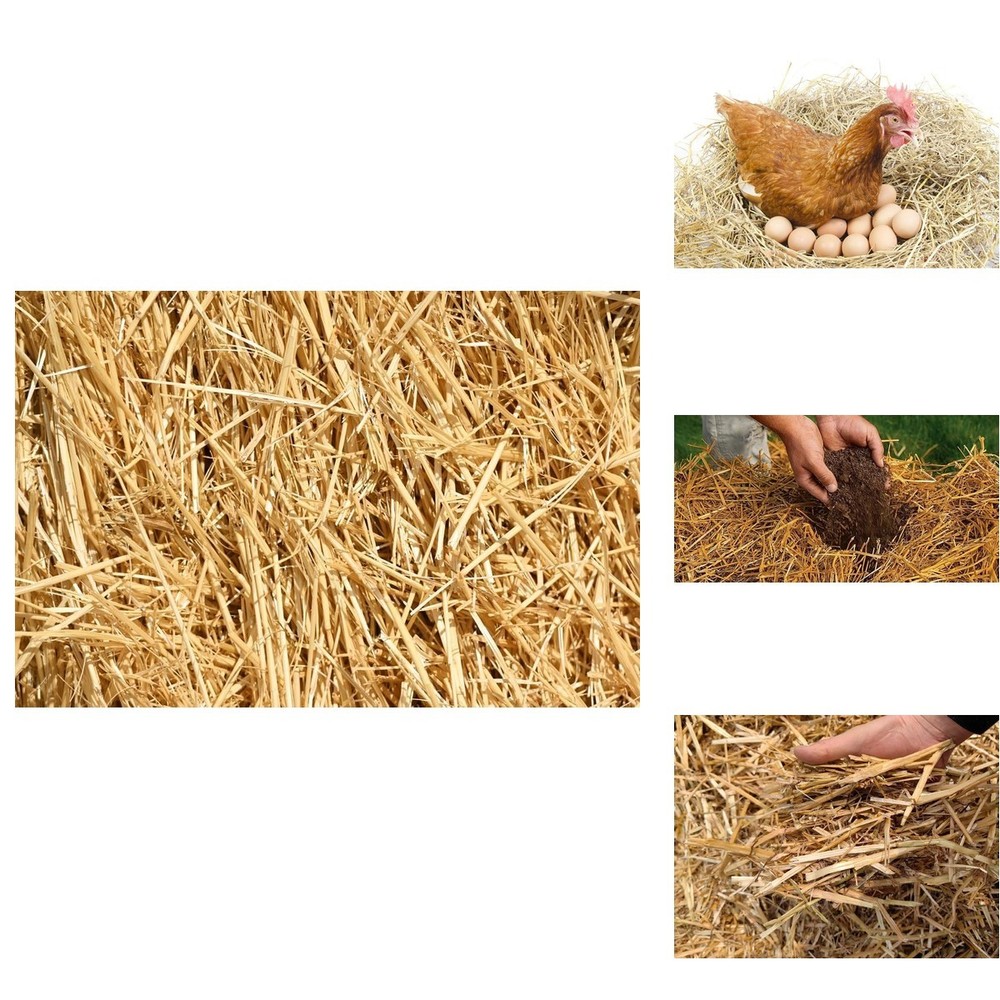 Kela Tipi Wheat Straw 100% Natural Soft Dry Straw Bale Grass Cover Garden Mulch