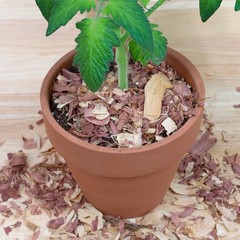 Natural Cedar Shavings Mulch / Bedding (4QT); Indoor / Outdoor Garden Pet Use