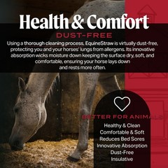 HealthiStraw EquineStraw Premium Straw Bedding, Compressed Bale, 3 cubic feet