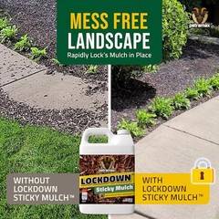 Lockdown Sticky Mulch Glue for Landscaping (64 Ounce) – Lasts Up to 2 Years,