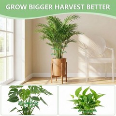 Opasyo 16PCS Plant Stem Support for Indoor Plants, Climbing Houseplant Stem S…