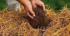 Kela Tipi Wheat Straw 100% Natural Soft Dry Straw Bale Grass Cover Garden Mulch