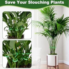 16PCS Plant Stem Support, Plant Stem Holder for Indoor Plants, Climbing green