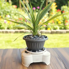 Austin Planter Chunks, Decorative Pebbles for Plant Pots & Saucers – Garden…