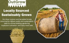 1 Cubic Foot of 100% All Natural Wheat Straw | 4 Pound Box