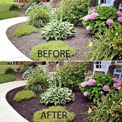 MulchWorx Red Mulch Color Concentrate – 1 Quart Treats 2,800 Sq. Ft.