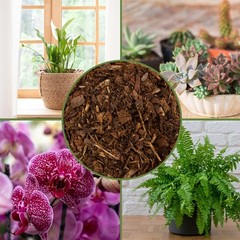 100% Natural Pine Bark Mulch Nuggets for Indoor/Outdoor Container Garden