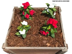 MIGHTY109 100% Natural Cedar Mulch, 40 Quarts Plus 8 Quarts Free!