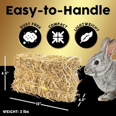 Mini Straw Bale (2lb) – 100% Natural Wheat Straw for Gardening & Pet Bedding
